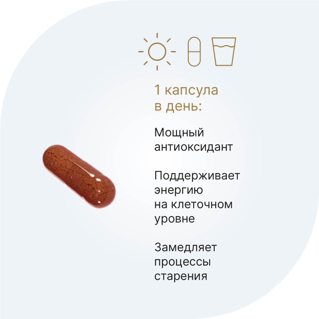 PQQ + Коэнзим Q10 20 мг капсулы, 60 шт.