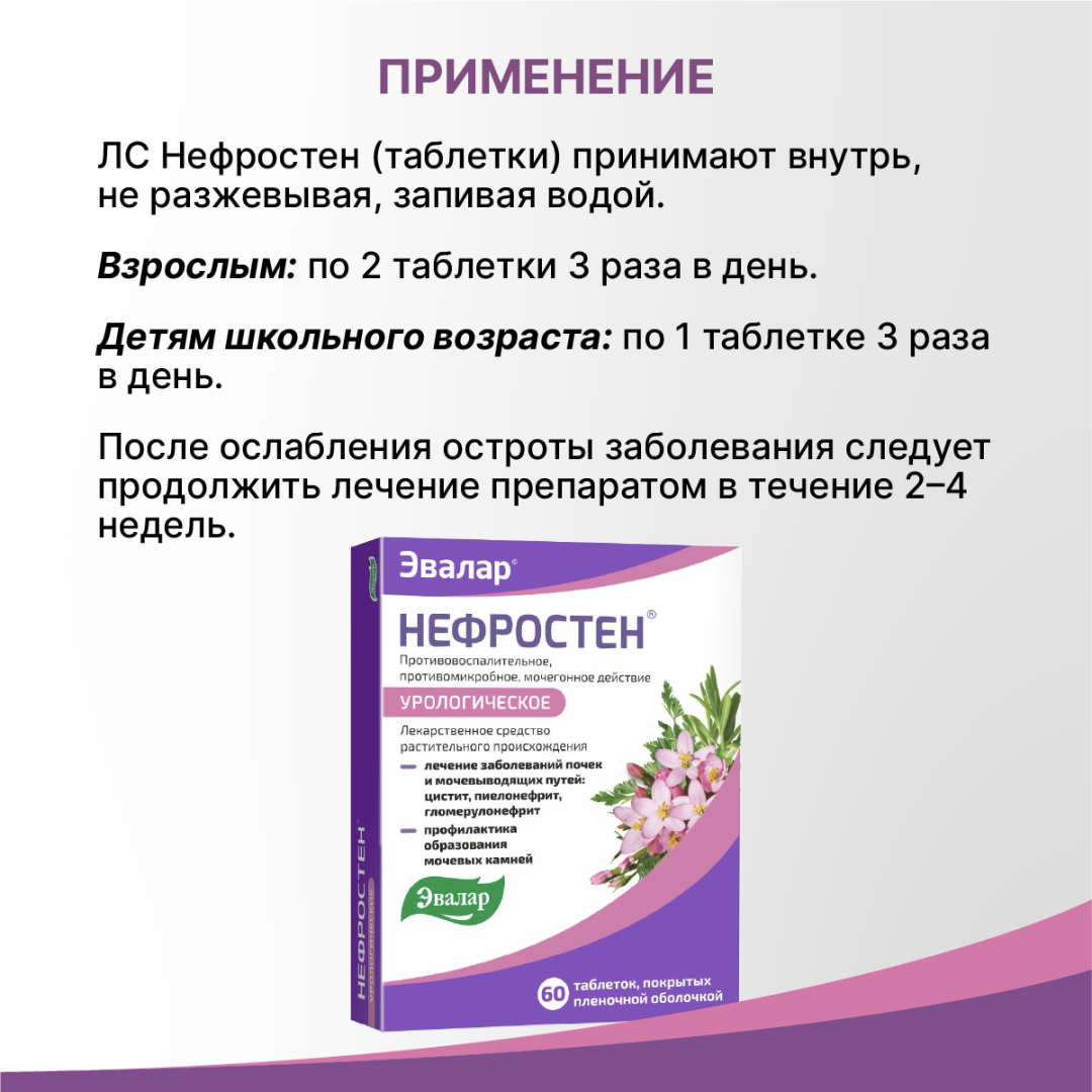 Нефростен таблетки покрытые пленочной оболочкой, 60 шт, Эвалар