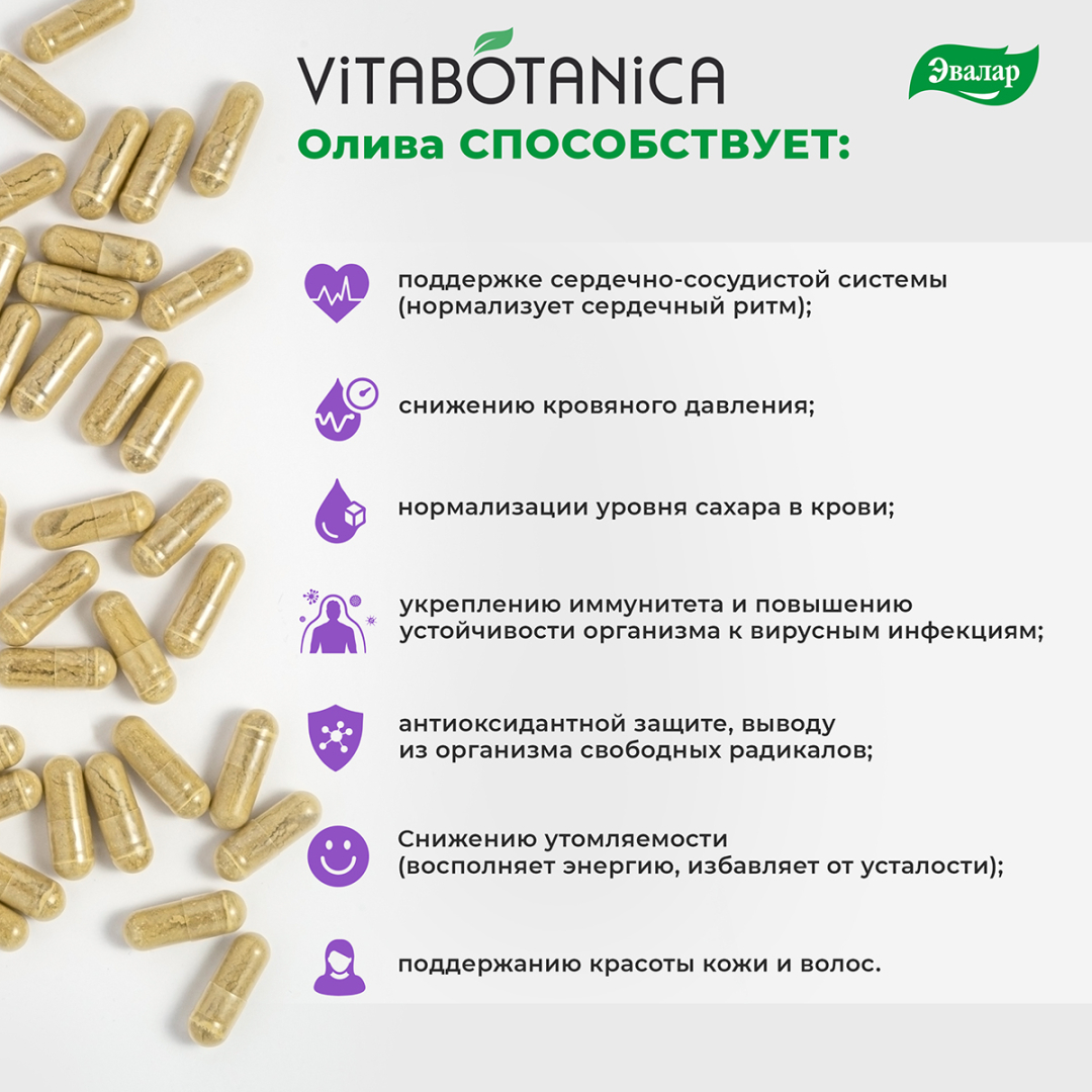 ВитаБотаника Олива Эвалар капсулы, 60 шт.