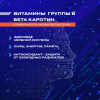 Кибер Нутришн Брейн Форс Эвалар таблетки шипучие, 15 шт.