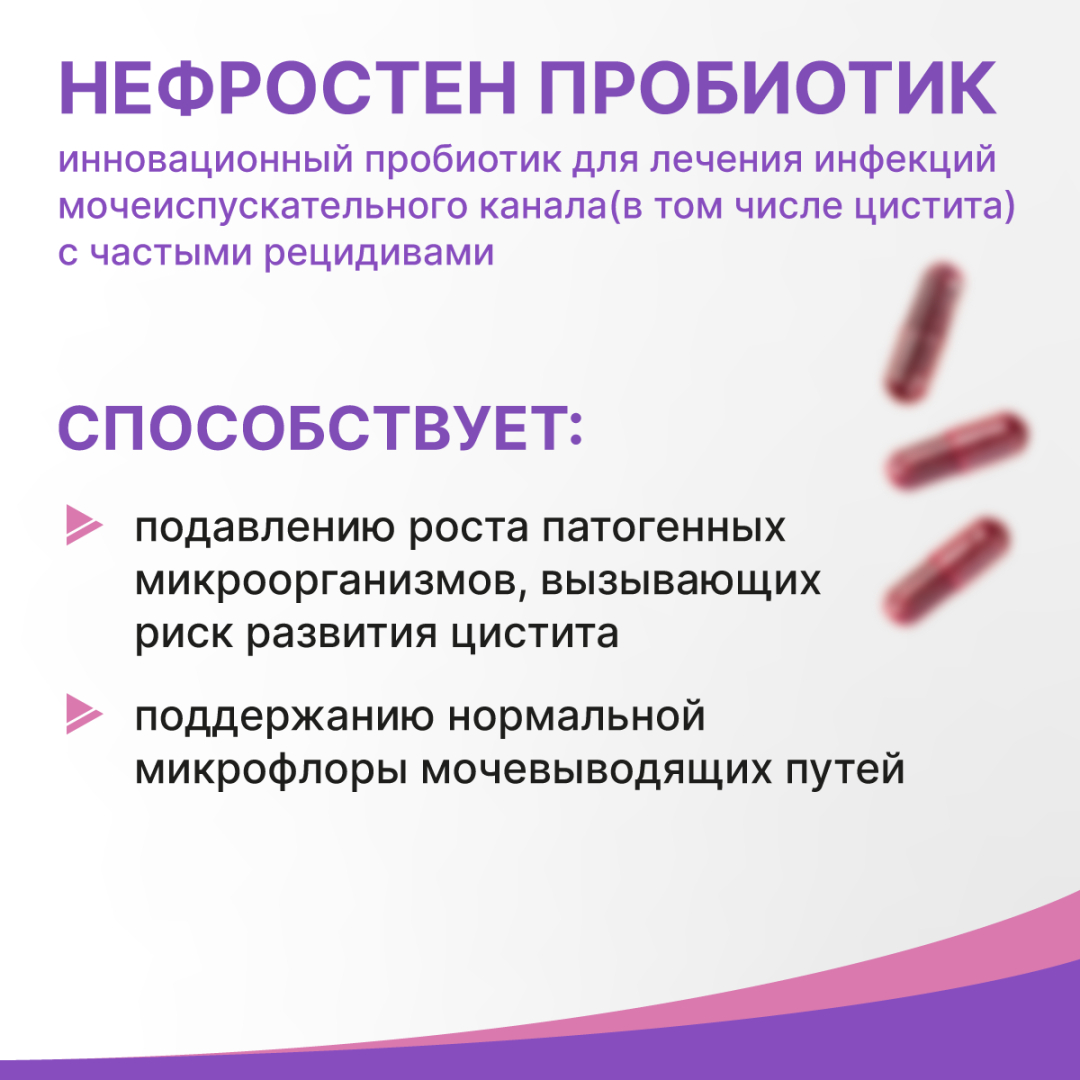 Нефростен Пробиотик капсулы, 15 шт, Эвалар