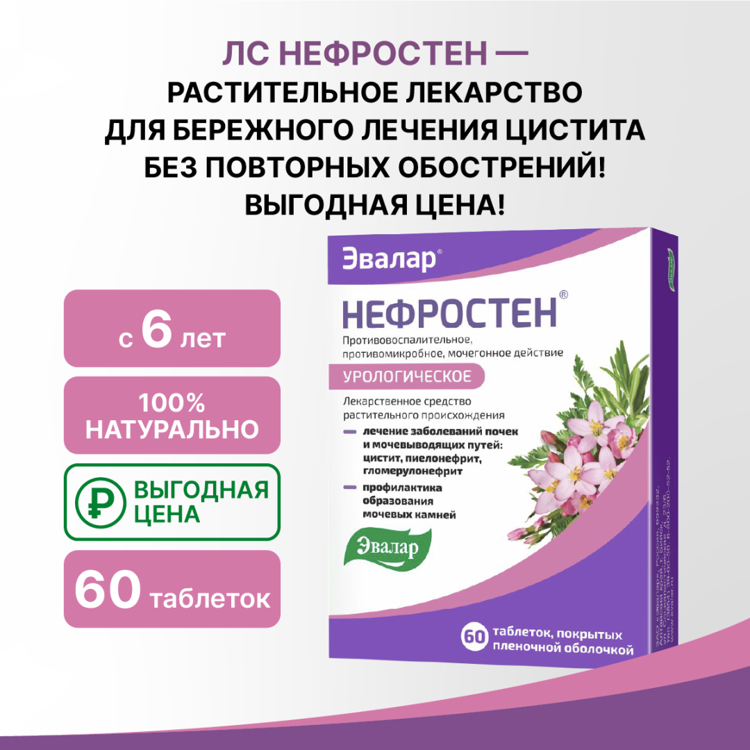 Нефростен таблетки покрытые пленочной оболочкой, 60 шт, Эвалар